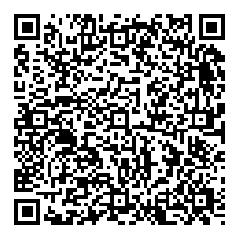 一つの難問（多分）QRコード